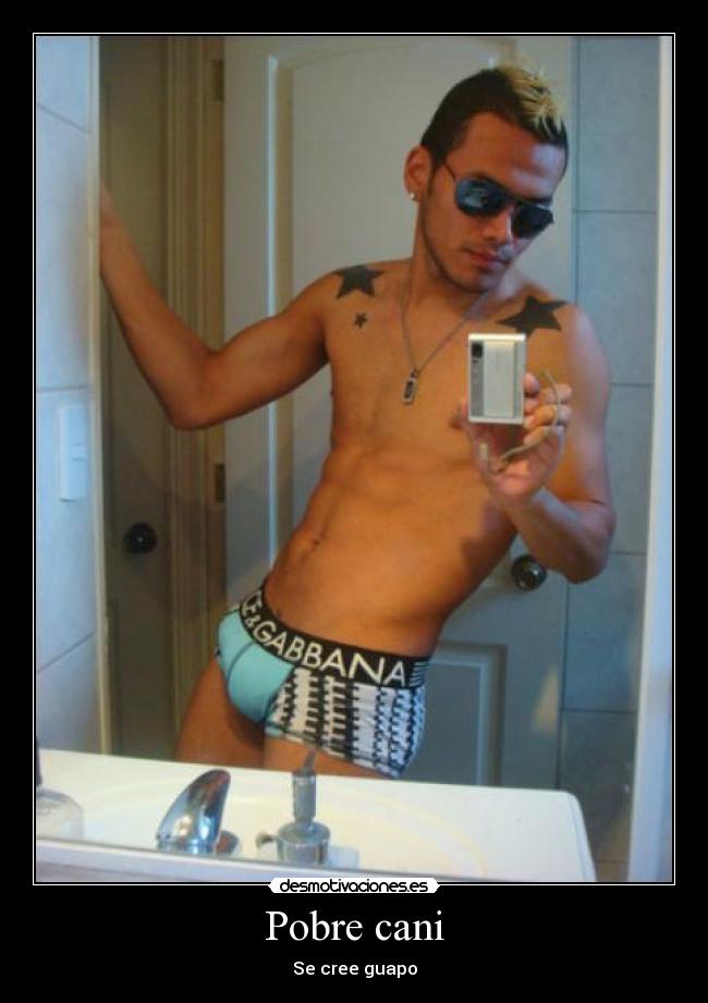 Pobre cani - Se cree guapo