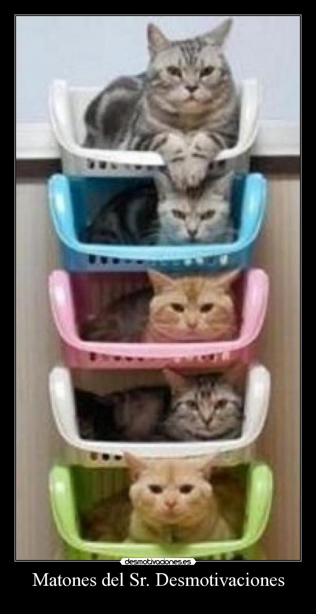 Matones del Sr. Desmotivaciones -
