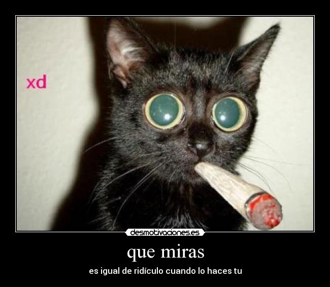 que miras -