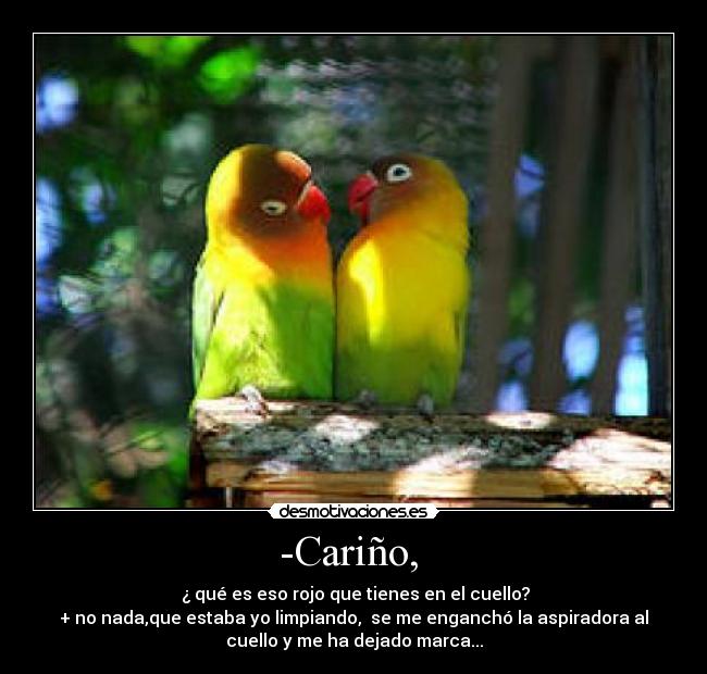 -Cariño, -