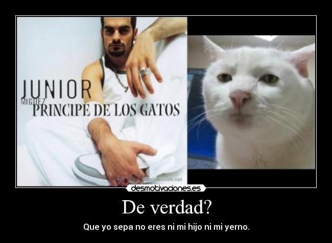 De verdad? - Que yo sepa no eres ni mi hijo ni mi yerno.