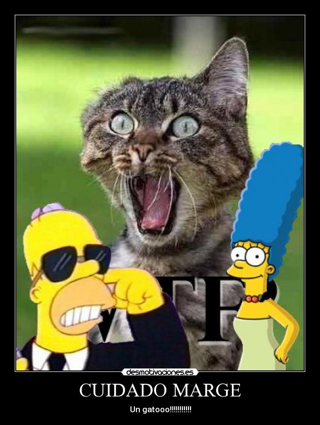 CUIDADO MARGE - Un gatooo!!!!!!!!!!!
