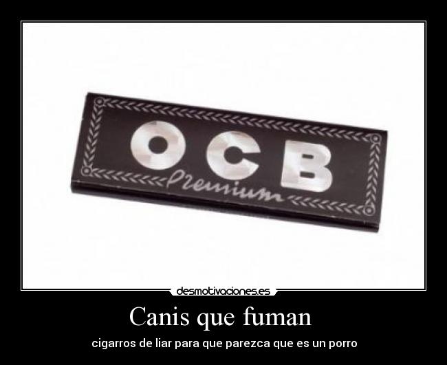 Canis que fuman - cigarros de liar para que parezca que es un porro