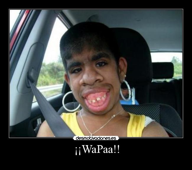 ¡¡WaPaa!! -