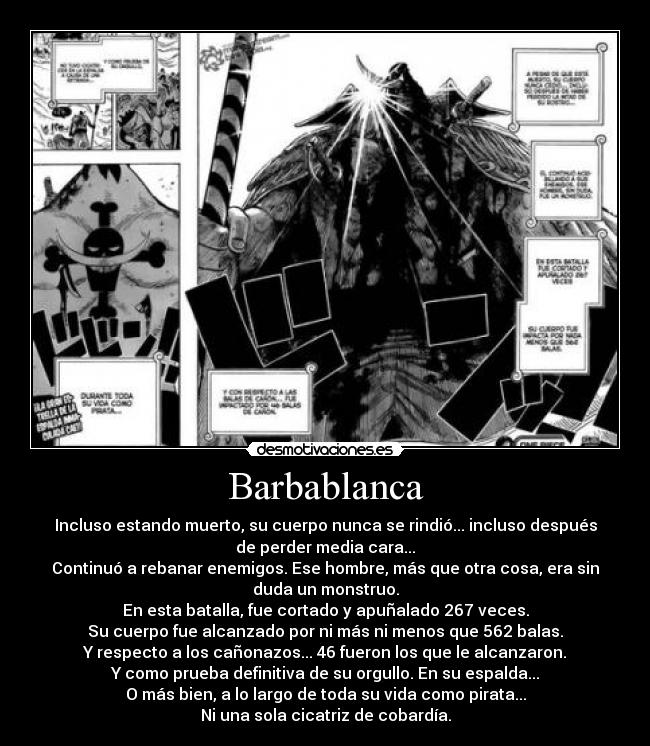 Barbablanca - Incluso estando muerto, su cuerpo nunca se rindió... incluso después
de perder media cara...
Continuó a rebanar enemigos. Ese hombre, más que otra cosa, era sin
duda un monstruo.
En esta batalla, fue cortado y apuñalado 267 veces.
Su cuerpo fue alcanzado por ni más ni menos que 562 balas.
Y respecto a los cañonazos... 46 fueron los que le alcanzaron.
Y como prueba definitiva de su orgullo. En su espalda...
O más bien, a lo largo de toda su vida como pirata...
Ni una sola cicatriz de cobardía.