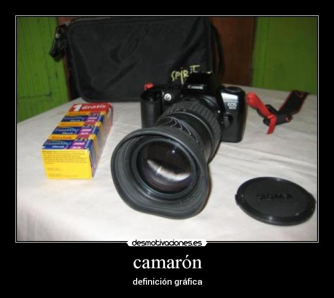 camarón - 