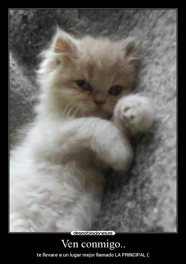 Ven conmigo.. - 