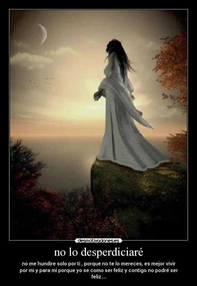 no lo desperdiciaré - 