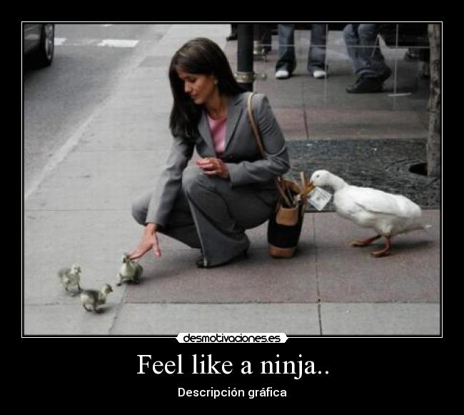 Feel like a ninja.. - Descripción gráfica