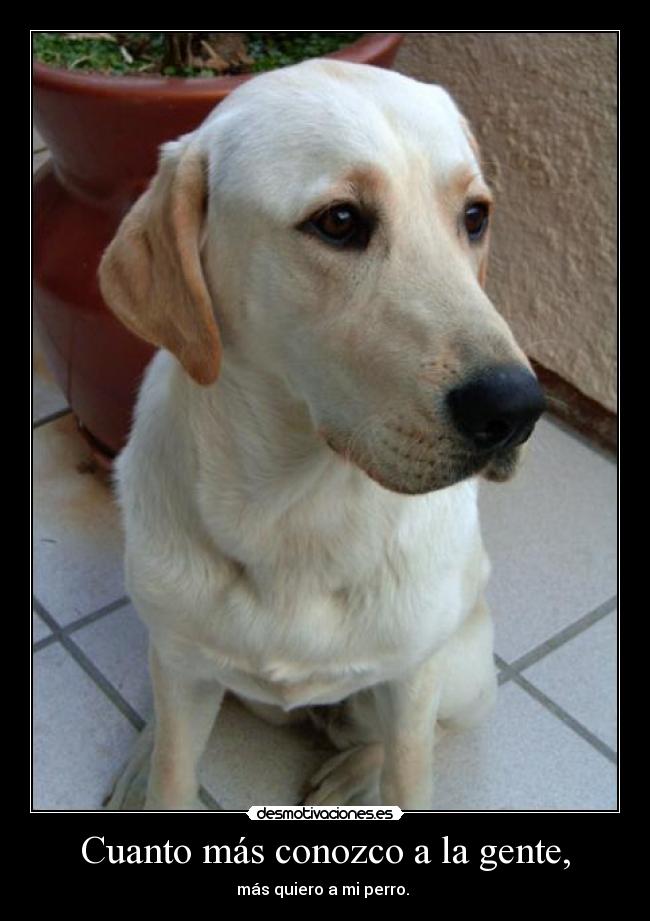 Cuanto más conozco a la gente, -