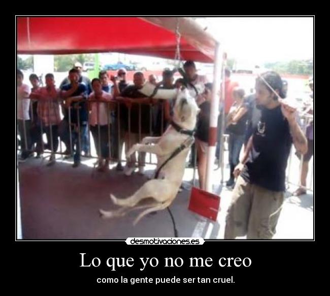 Lo que yo no me creo - como la gente puede ser tan cruel.