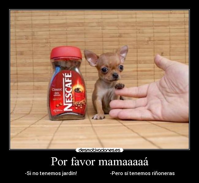 Por favor mamaaaaá - -Si no tenemos jardín!                           -Pero sí tenemos riñoneras