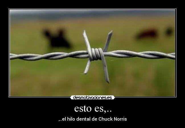 esto es,.. - ,..el hilo dental de Chuck Norris