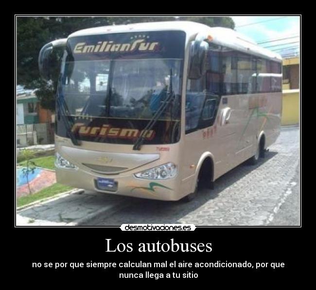 Los autobuses - 