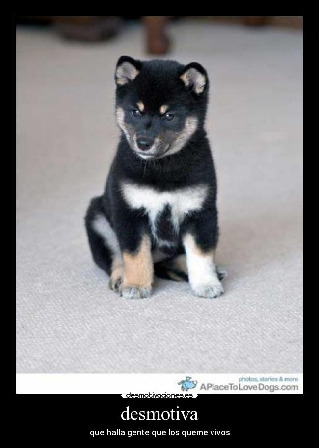 desmotiva - que halla gente que los queme vivos