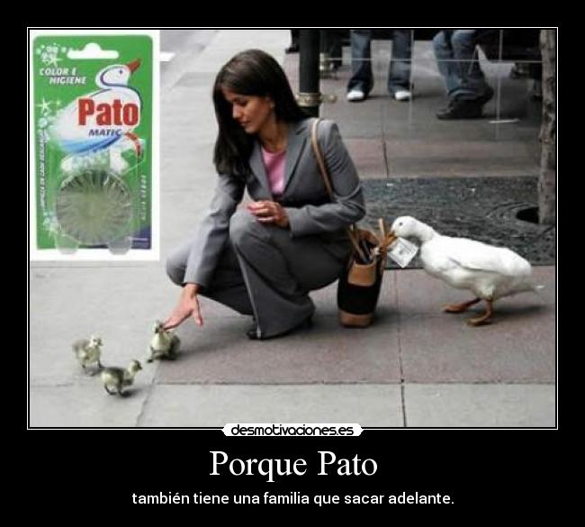 Porque Pato - también tiene una familia que sacar adelante.