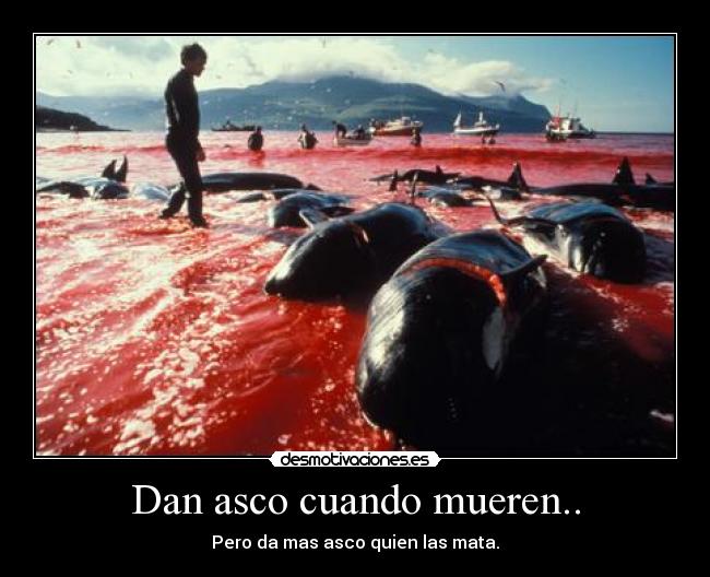 Dan asco cuando mueren.. -