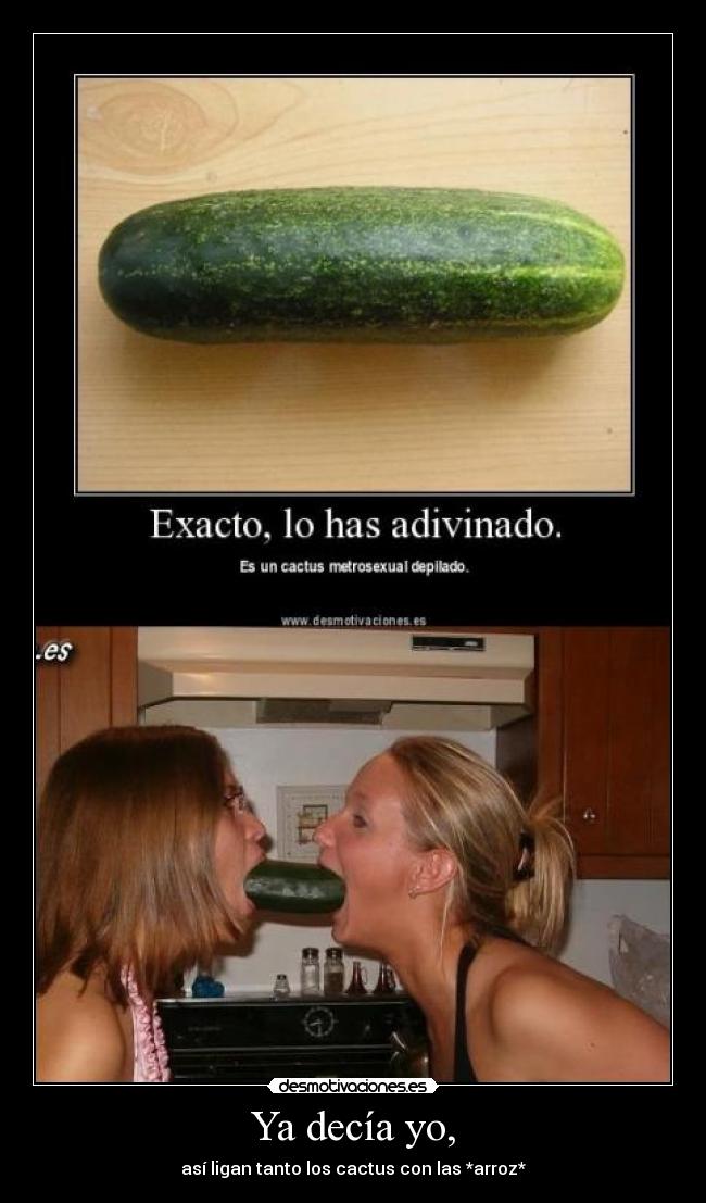 carteles cactus desmotivaciones