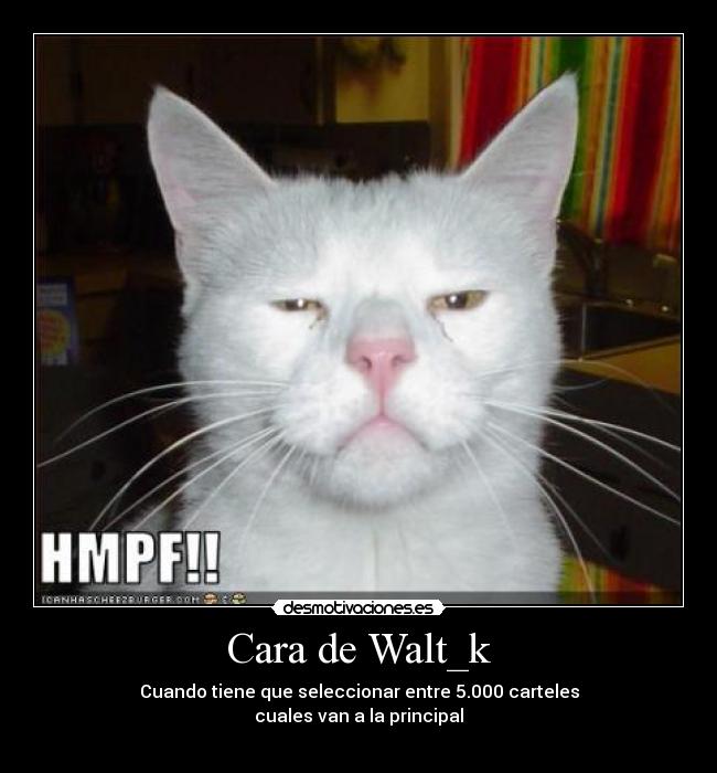 Cara de Walt_k - 