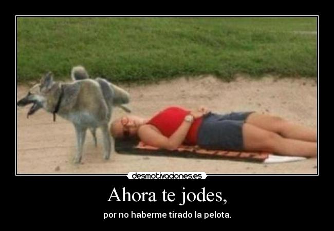 carteles perro mujer pis desmotivaciones