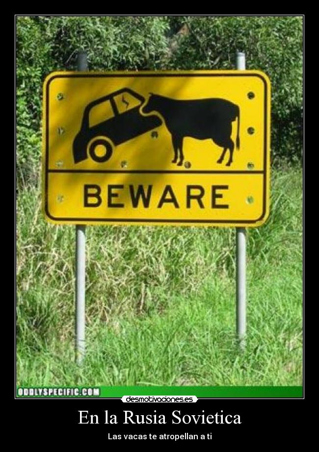 En la Rusia Sovietica - Las vacas te atropellan a ti