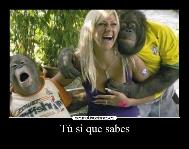 Tú si que sabes -
