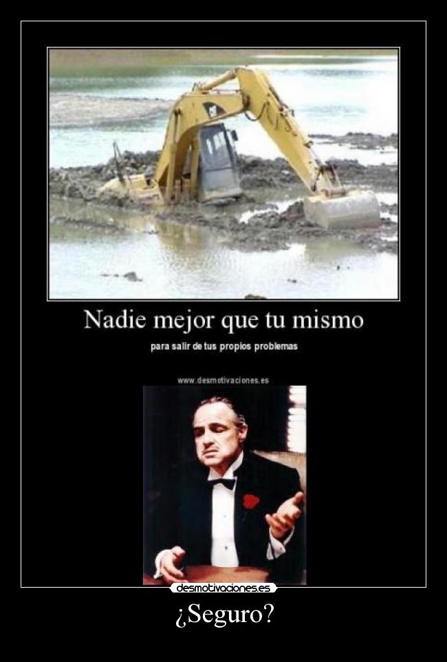 ¿Seguro? -