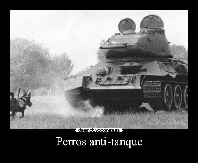 Perros anti-tanque - 