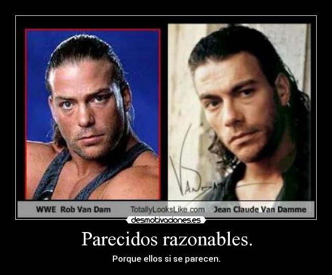 Parecidos razonables. - Porque ellos si se parecen.