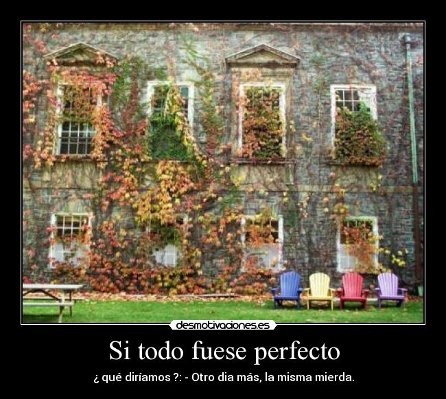 Si todo fuese perfecto - ¿ qué diríamos ?: - Otro dia más, la misma mierda.