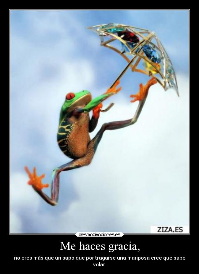 Me haces gracia, - 