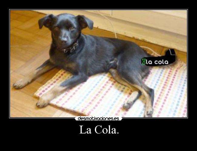 La Cola. -