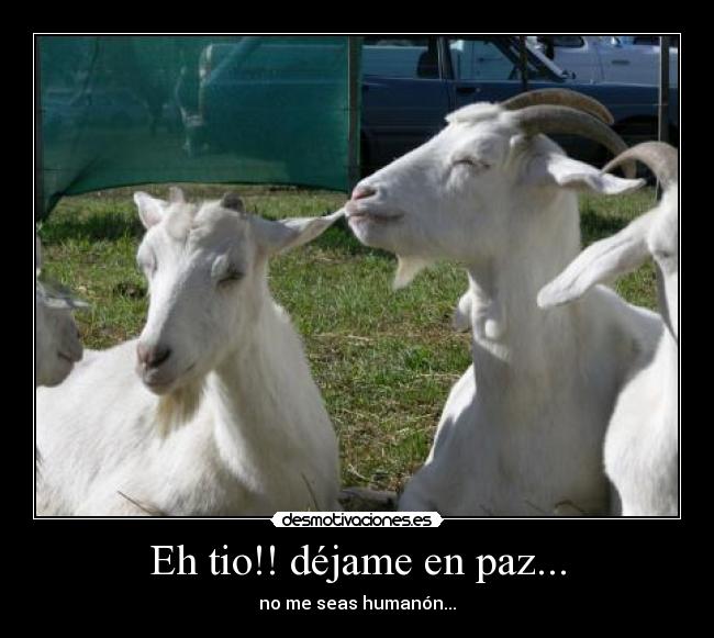 Eh tio!! déjame en paz... -