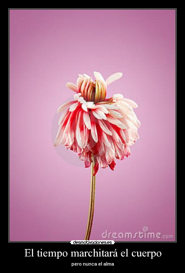 El tiempo marchitará el cuerpo - pero nunca el alma