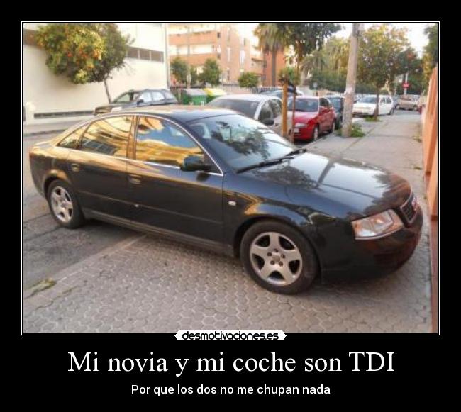 carteles coche tdi novia lol win desmotivaciones