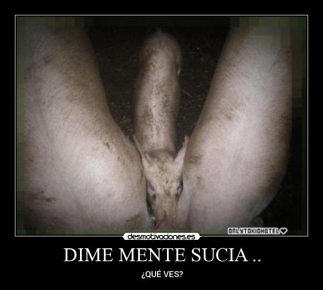 DIME MENTE SUCIA .. - ¿QUÉ VES?