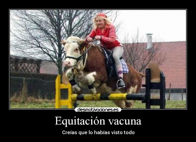 Equitación vacuna - Creías que lo habías visto todo