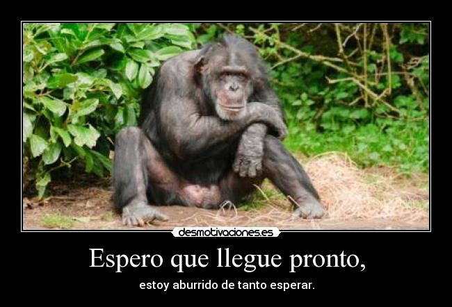 Espero que llegue pronto, - 