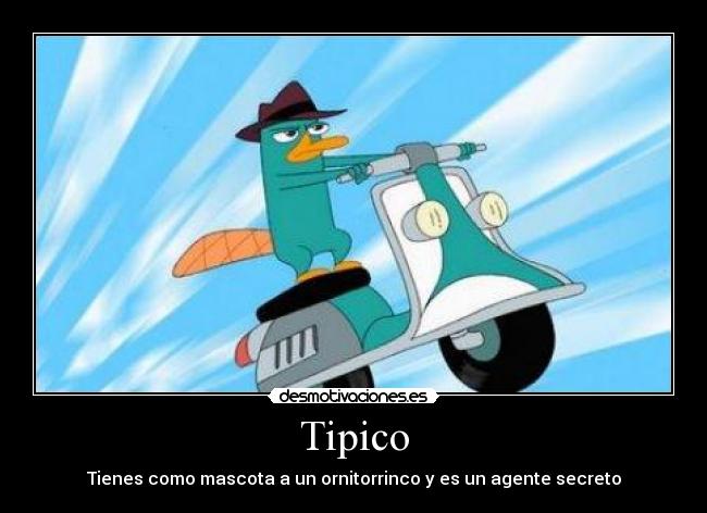 Tipico -