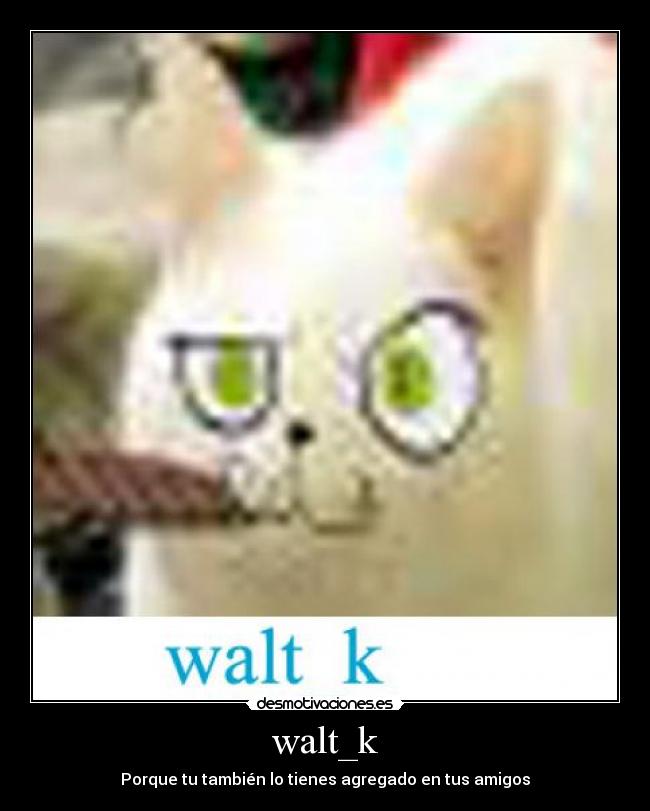 walt_k -