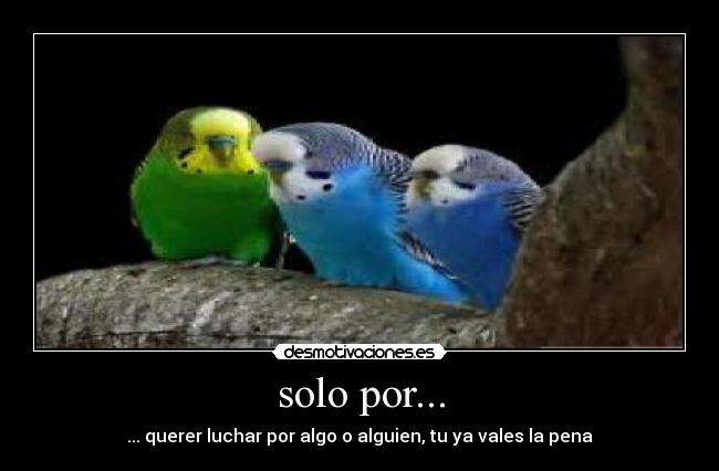 solo por... -
