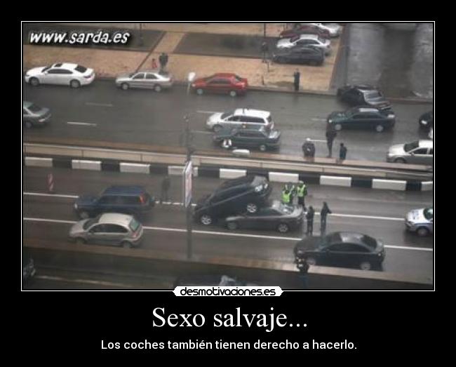 Sexo salvaje... - Los coches también tienen derecho a hacerlo.