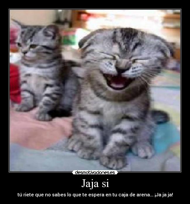 Jaja si - tú riete que no sabes lo que te espera en tu caja de arena... ¡Ja ja ja!