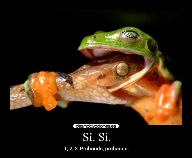 Sí. Sí. - 1, 2, 3. Probando, probando.