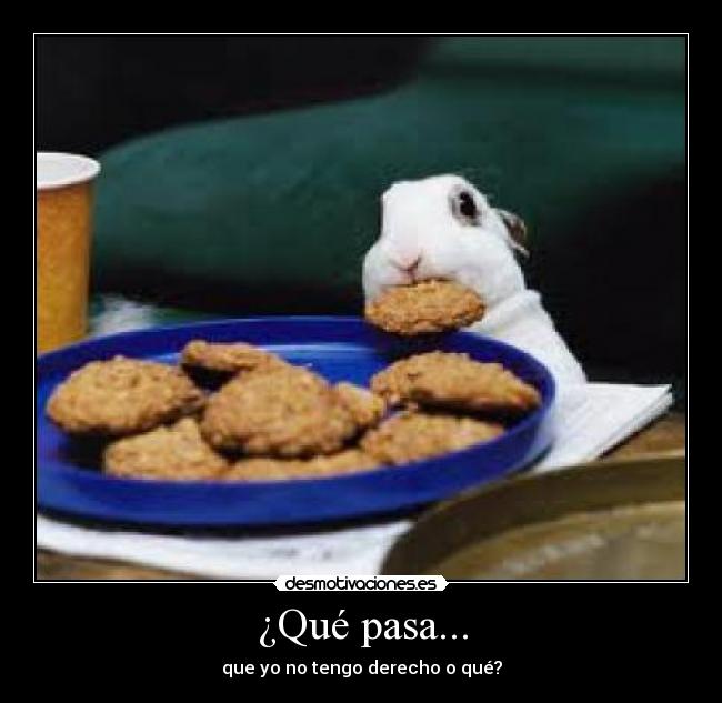 ¿Qué pasa... - que yo no tengo derecho o qué?