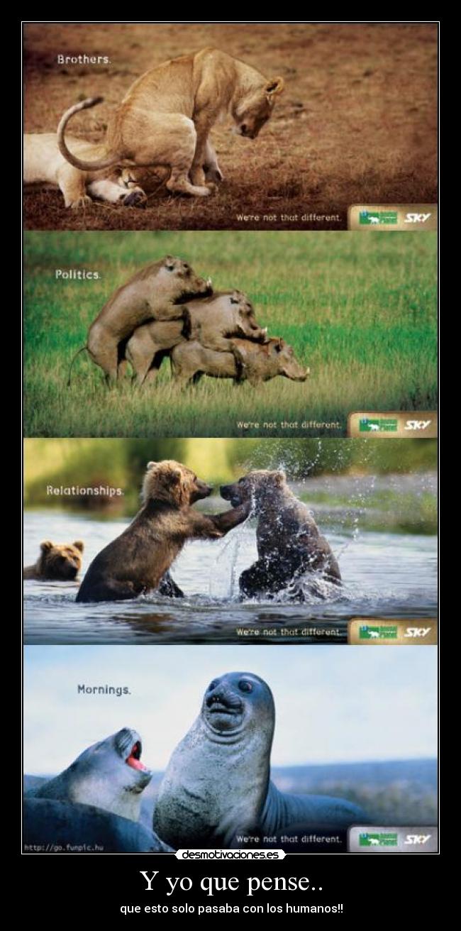 Y yo que pense.. - que esto solo pasaba con los humanos!!