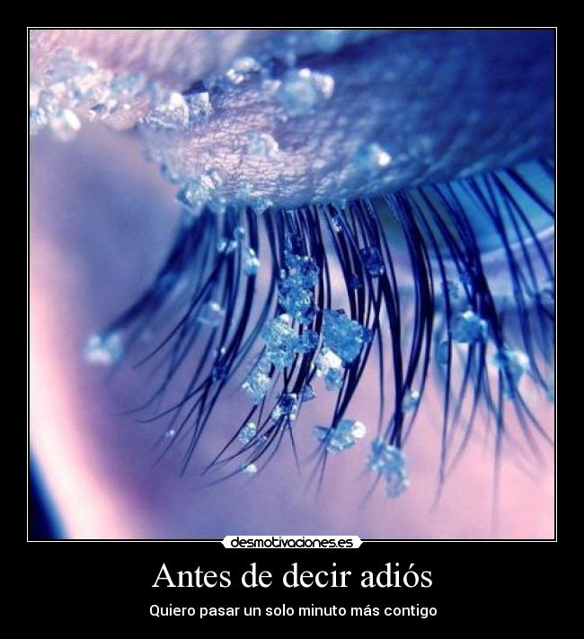 Antes de decir adiós -