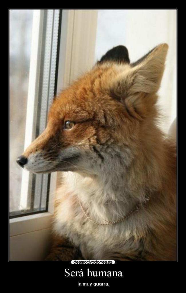 Será humana - la muy guarra.