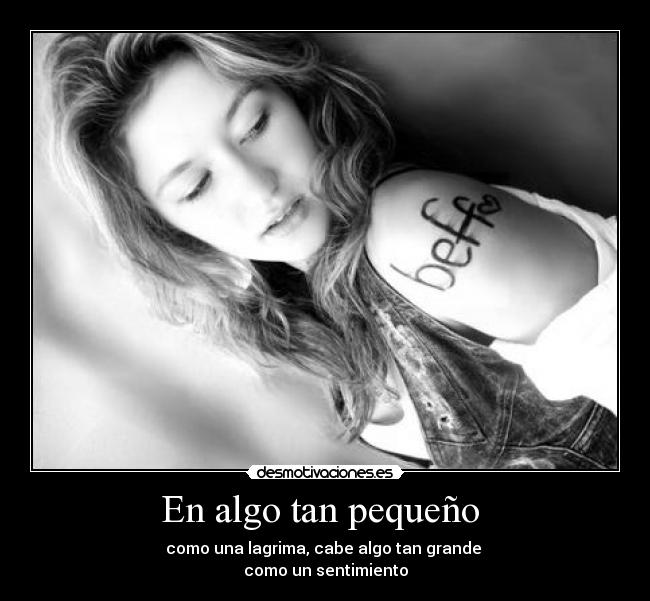 carteles sentimiento desmotivaciones