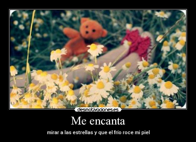 Me encanta - mirar a las estrellas y que el frío roce mi piel